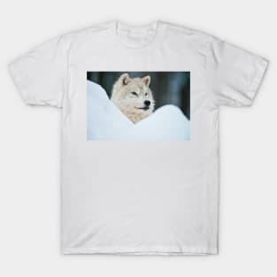 Arctic Wolf T-Shirt